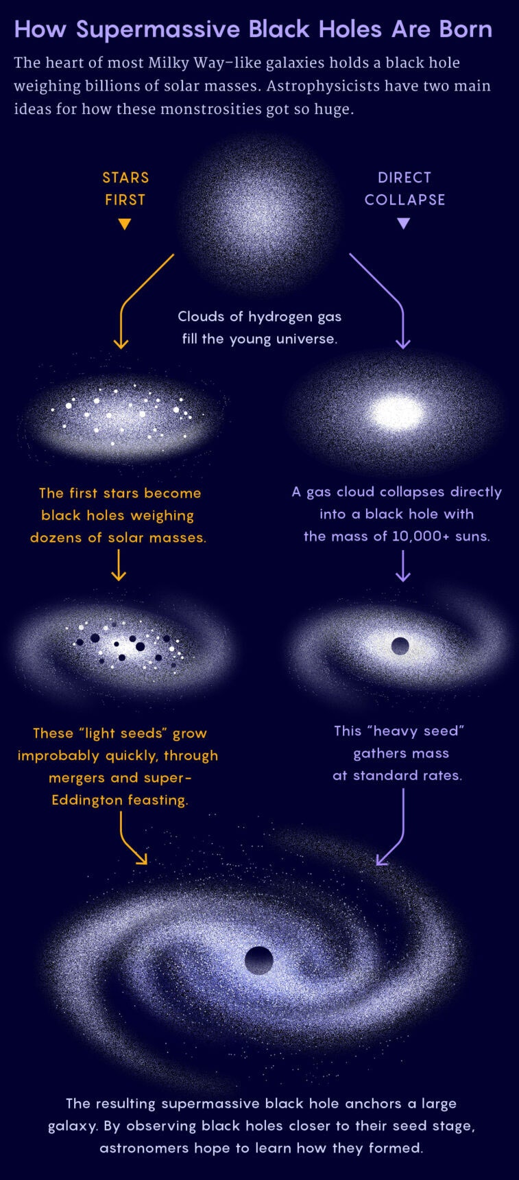 Infographie sur la naissance des trous noirs supermassifs