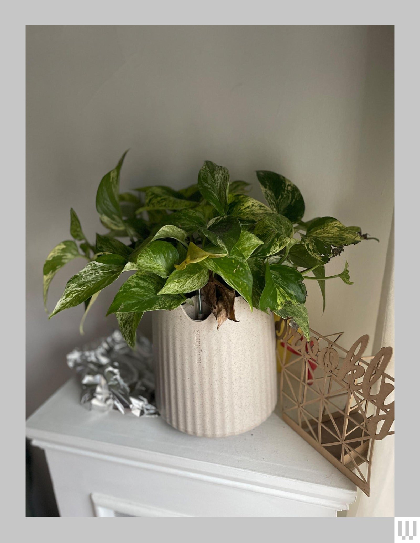 Plante en pot dans un support beige sur une petite surface d'angle avec un mur blanc derrière