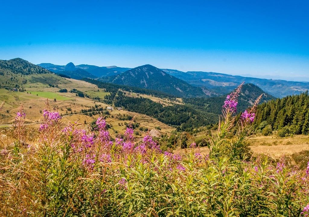 10 raisons de tomber amoureux de l'Auvergne